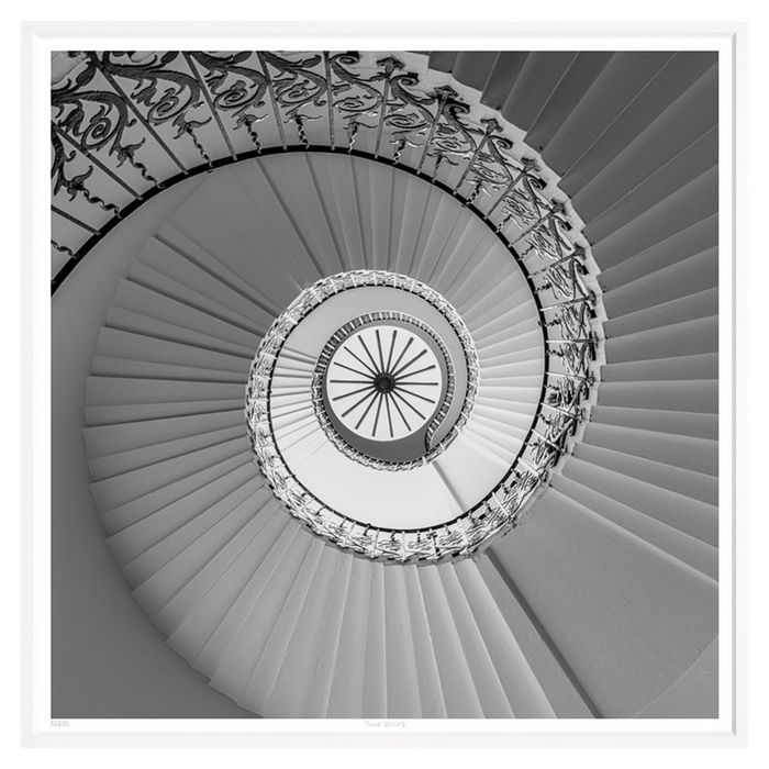 Tulip Stairs, 37" x 37"