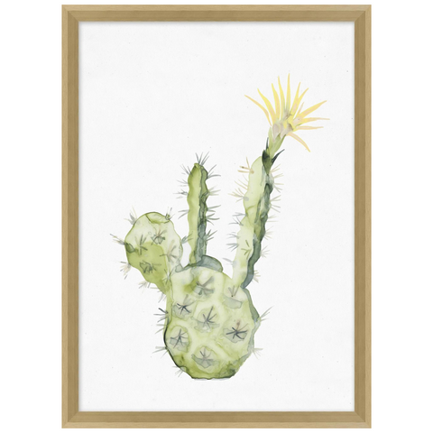 Yellow Blooming Cacti 6, 16.25"W x 22.25"H