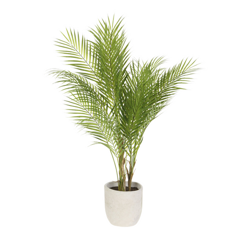 Areca Palm Tree in Cement Pot, 42"