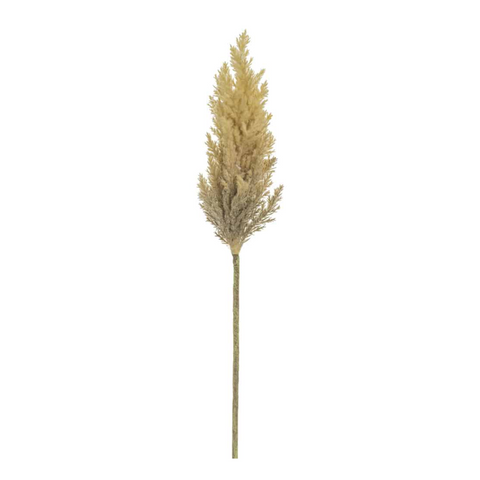 Pampus Grass Spray, 33"