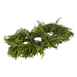 Real Touch Norfolk Pine 3-Pillar Centerpiece, 36"