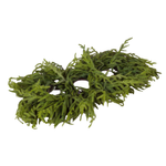 Real Touch Norfolk Pine 3-Pillar Centerpiece, 36"