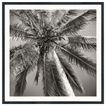 Nostalgia Collection - Palm Tree C. 1959, 18.75" × 18.75"