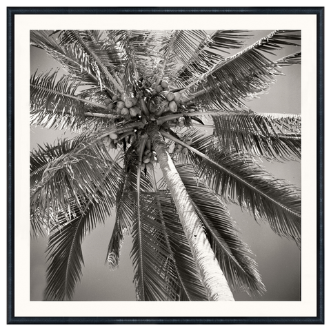 Nostalgia Collection - Palm Tree C. 1959, 18.75" × 18.75"