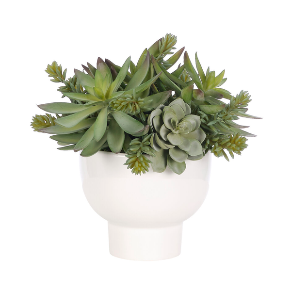 Succulent, Faux Arrangement, 10"H