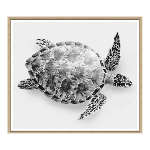 Turtle, 33" x 40"