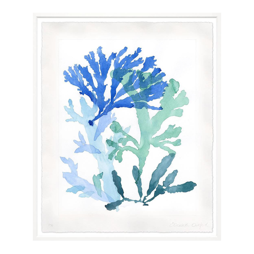 Watercolour Corals 3, 2 Sizes