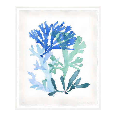 Watercolour Corals 3, 2 Sizes