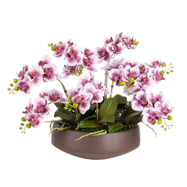 Purple Real Touch Orchid Phalaenopsis in Bowl, 16"H
