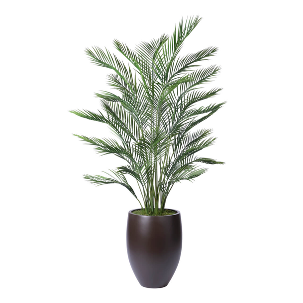 Areca Palm, Faux Tree, 84"H