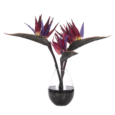 Bird of Paradise, Purple, in Glass Vase Faux Watergarden, 18"