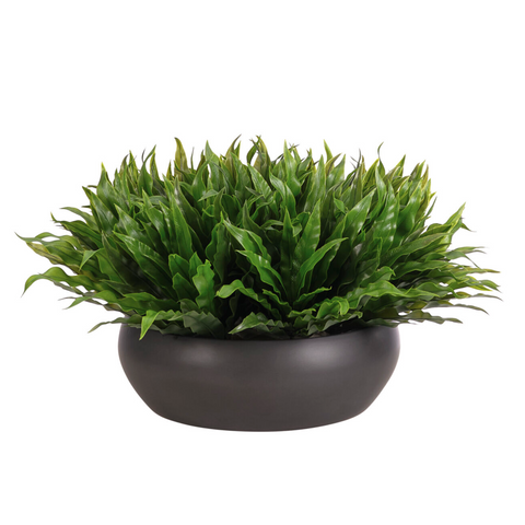 Fern Bird's Nest, Ceramic Bowl, UV Rated for Outdoor