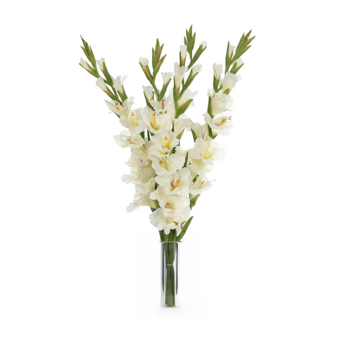 Gladiola, White, Drop In, Glass Vase Faux Florals, 32"