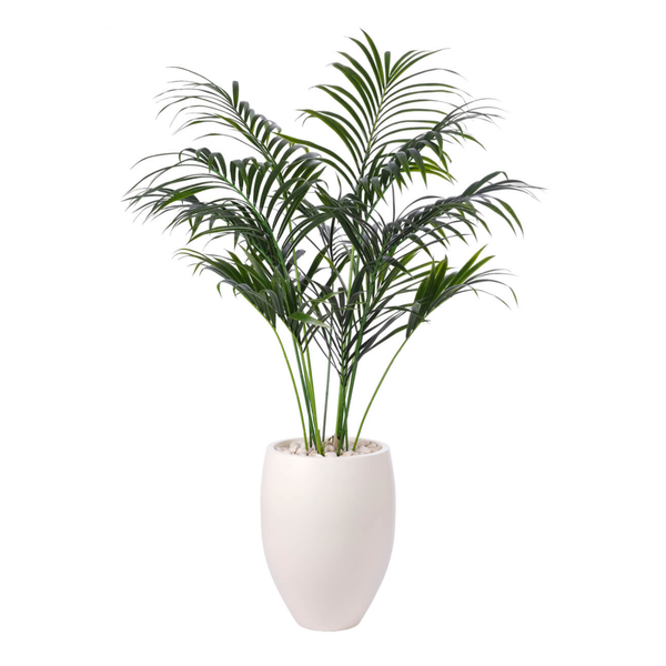 Kentia, UV Outdoor Greenery, 72"H