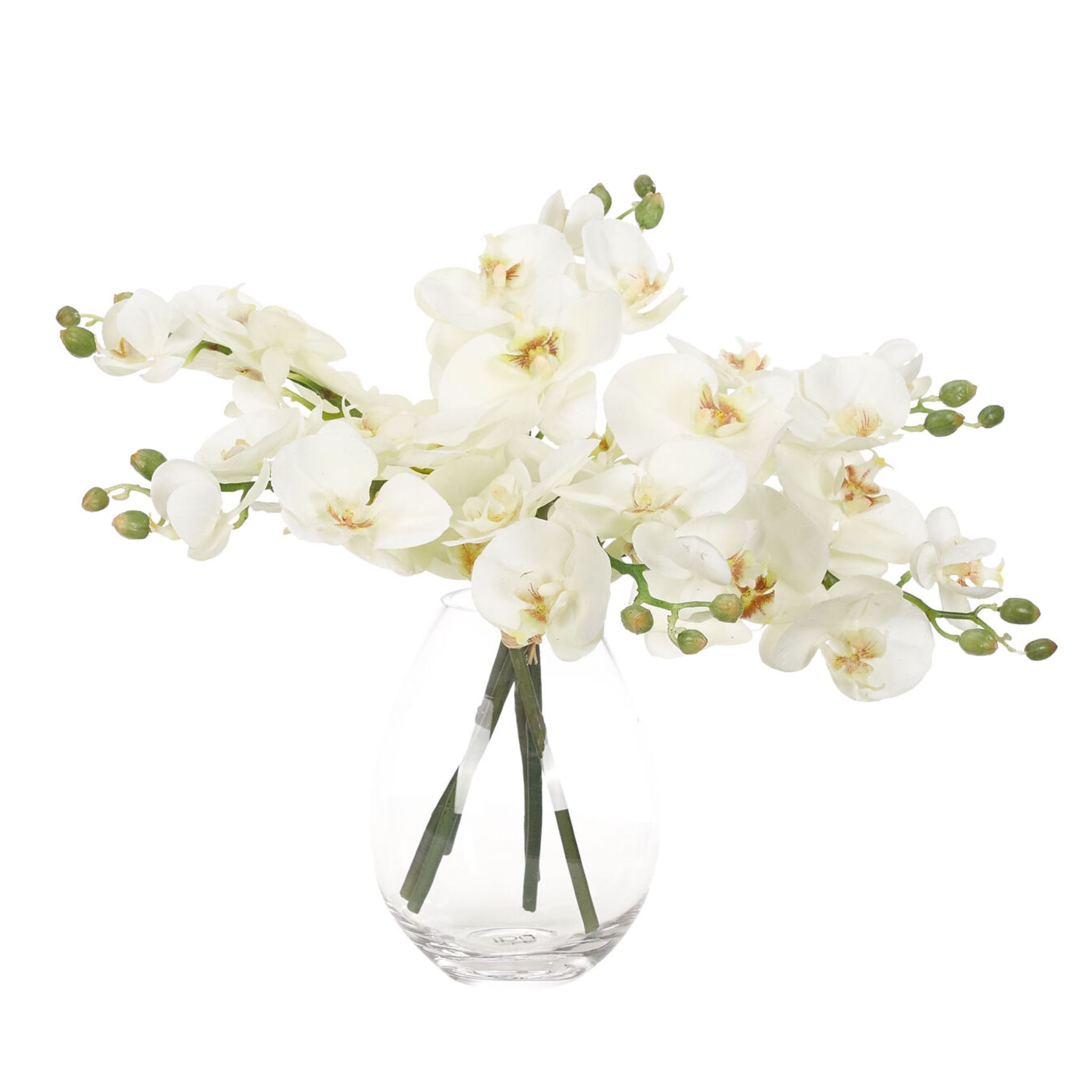 Orchid Phalaenopsis, Cream White Drop In with Glass, Faux, 12"