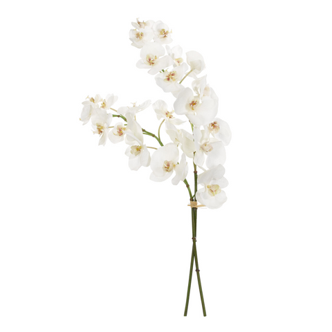 Orchid Phalaenopsis, Cream White, Drop In Flower Bouquet, Faux, 27"