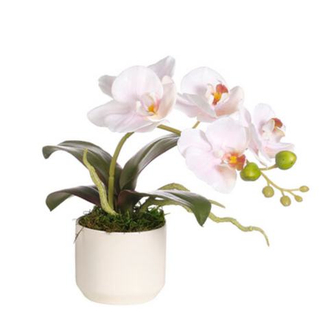 Orchid Phalaenopsis, Pink, Ceramic Pot Faux Arrangement, 10"