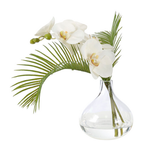 Orchid Phalaenopsis, White, in Glass Vase, Faux Watergarden, 10"
