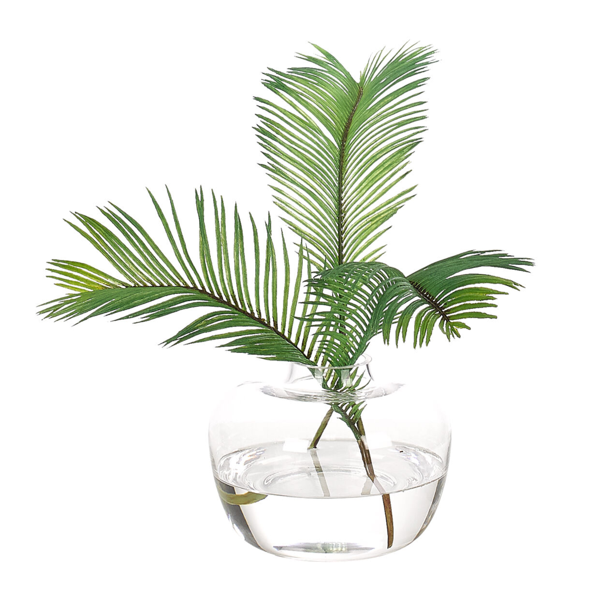 Palm Fern, in Glass Ginger Jar Faux Greenery Watergarden, 11"