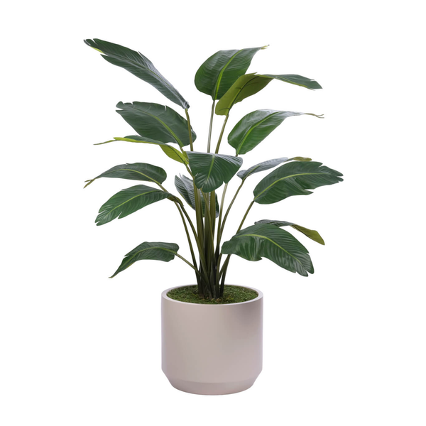 Travelers Palm, Faux Tree, 60"H