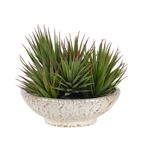 Succulent Yucca, in Ceramic Bowl, Faux Greenery, 8", UV Rated for Outdoor