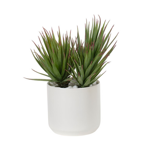 Succulent Yucca, in Ceramic Pot, Faux, 10", UV Rated for Outdoor