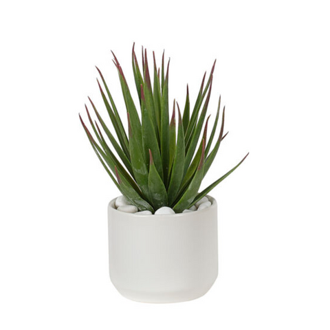 Succulent Yucca, in Ceramic Pot, Faux, 7.5", UV Rated for Outdoor