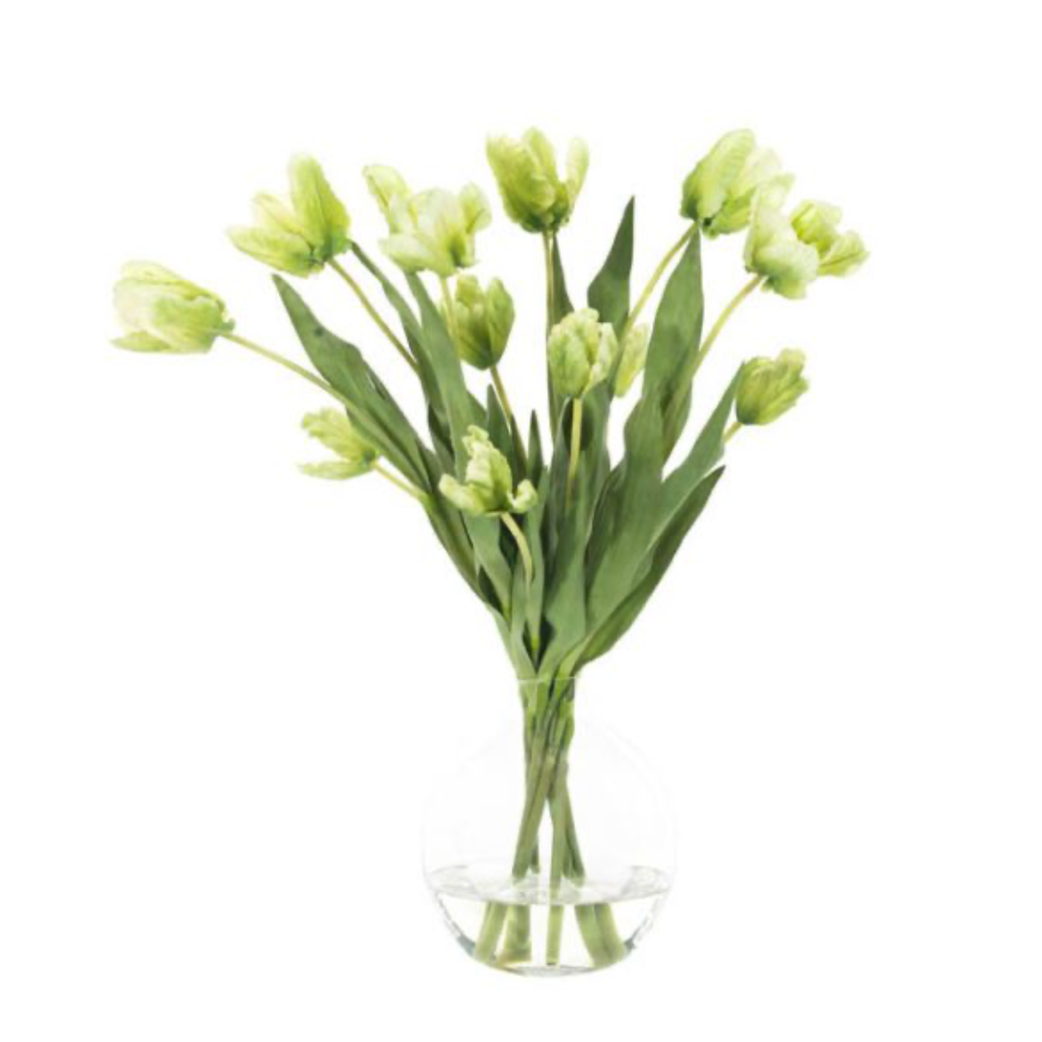 Tulip, Green White, in Glass Bubble Faux Watergarden, 20"