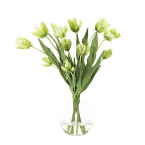 Tulip, Green White, in Glass Bubble Faux Watergarden, 20"