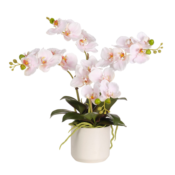 Pink Real Touch Orchid Phalaenopsis in Ceramic Pot, 16"H