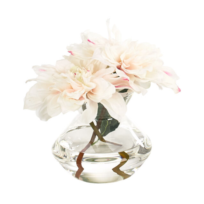 White Dahlia Arrangement, 7.5"H