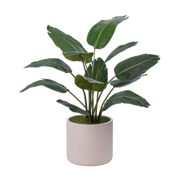 Travelers Palm, Faux Tree, 53"H
