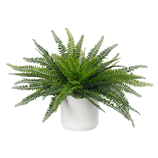 Faux Boston Fern, UV Outdoor, 17"H