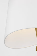 Beauvoir 18" Hanging Shade - Satin Brass