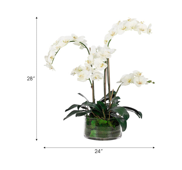 White Phalaenopsis Orchid Arrangement in Glass Vase, 28" H