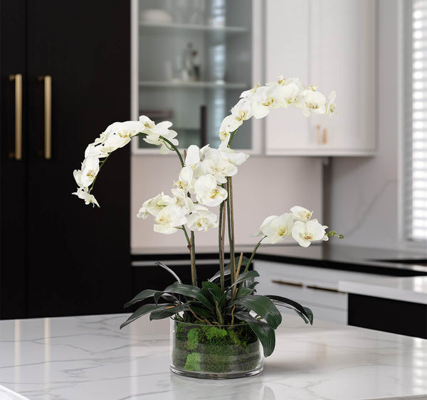 White Phalaenopsis Orchid Arrangement in Glass Vase, 28" H