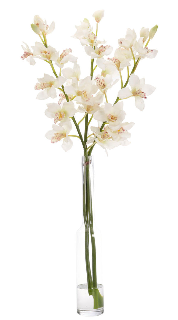 Orchid Cymbidium, Faux Watergarden, 53"