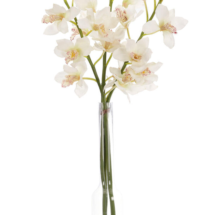 Orchid Cymbidium, Faux Watergarden, 53"