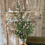 Sutherland Berry Spray, 36"
