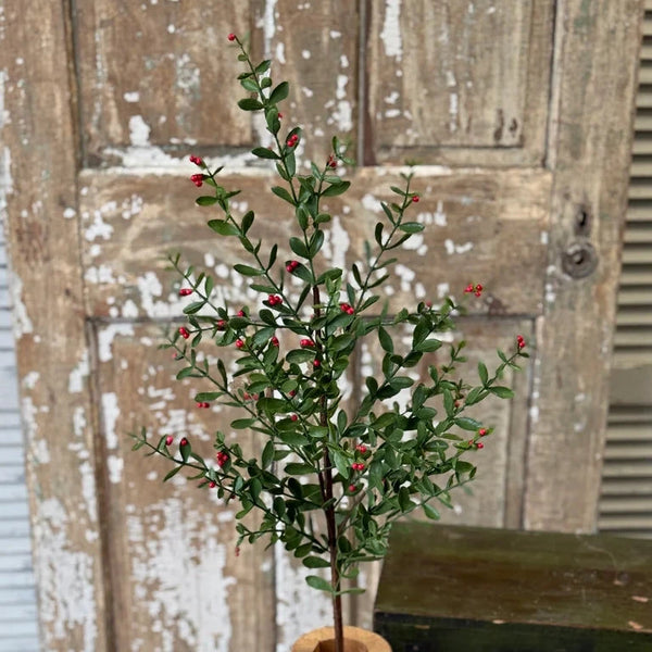 Sutherland Berry Spray, 36"