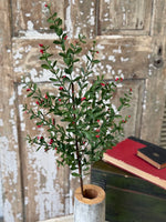Sutherland Berry Spray, 36"