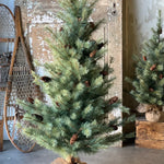 Woodford Pine 5' Tree