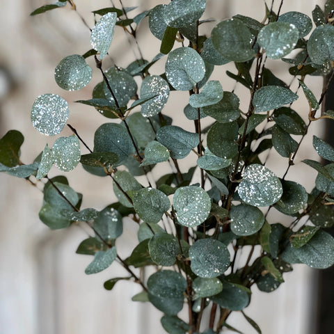 Crisp Air Eucalyptus Bundle (w/ frost effect), 35"