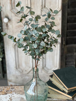 Crisp Air Eucalyptus Bundle (w/ frost effect), 35"