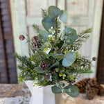 Arbordale Eucalyptus Bush , 20"