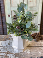 Arbordale Eucalyptus Bush , 20"