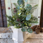 Arbordale Eucalyptus Bush , 20"