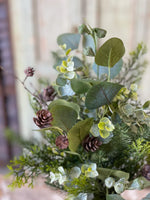Arbordale Eucalyptus Bush , 20"