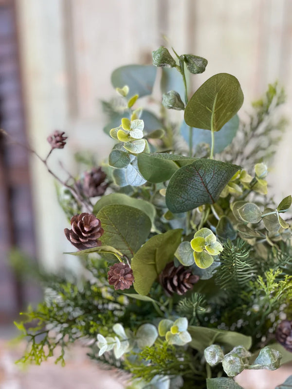 Arbordale Eucalyptus Bush , 20"
