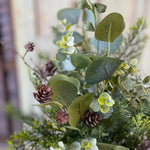 Arbordale Eucalyptus Bush , 20"